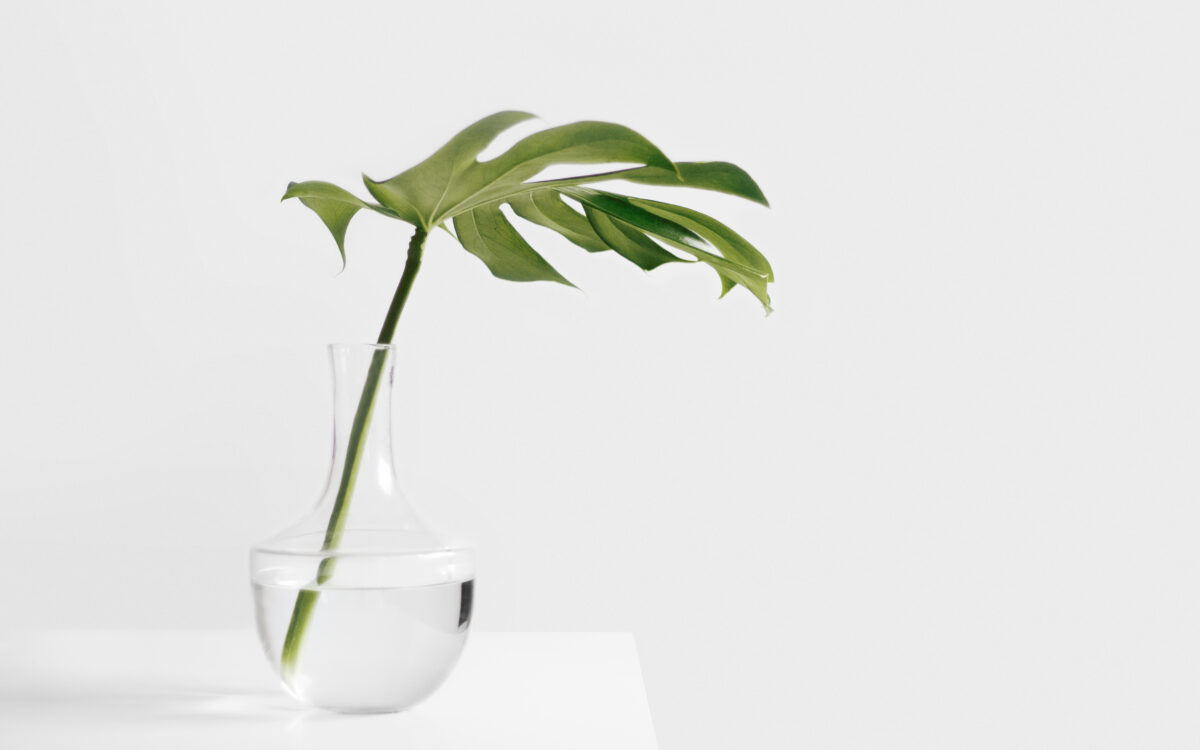 Kinfolk City  Guide